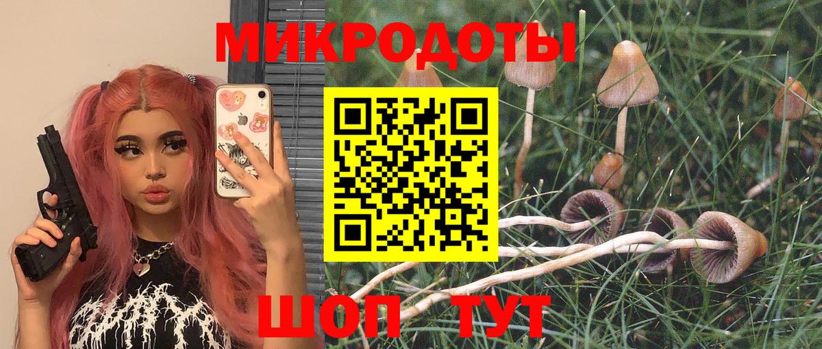 Галлюциногенные грибы Psilocybine cubensis Реутов